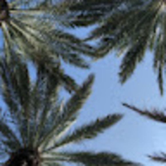 Meet your Posher, Katherine - Picture 1 of 1